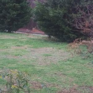 Meet your Posher, Philip